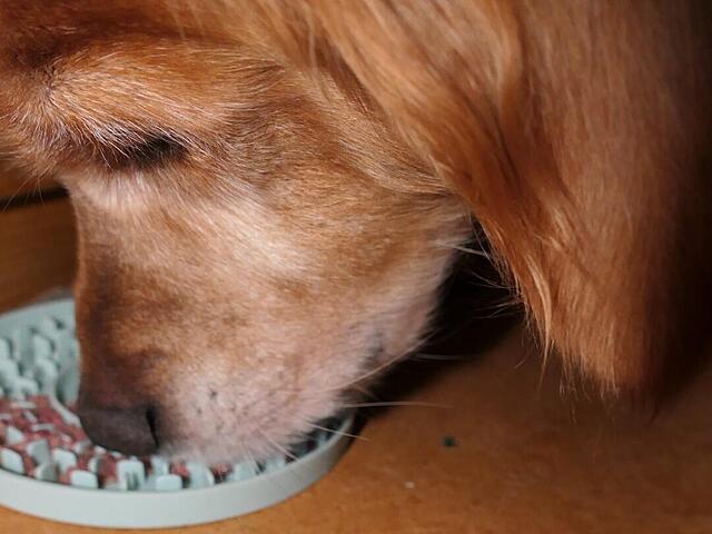 Klicke auf die Grafik für eine vergrößerte Ansicht

Name: P1041982.jpg
Ansichten: 0
Größe: 74,6 KB
ID: 1201930