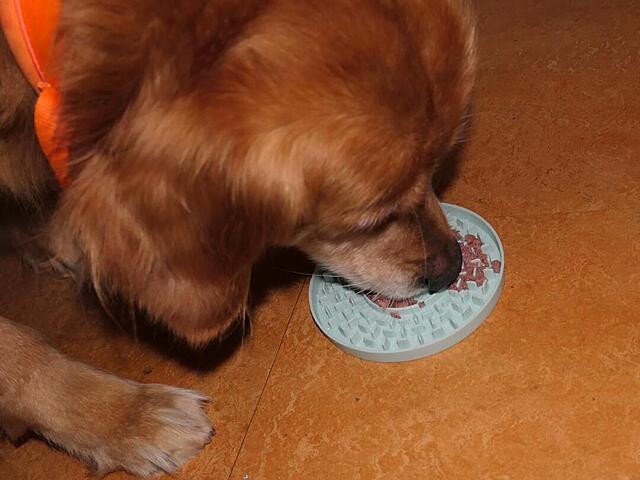 Klicke auf die Grafik für eine vergrößerte Ansicht

Name: P1041978.jpg
Ansichten: 0
Größe: 76,2 KB
ID: 1201932