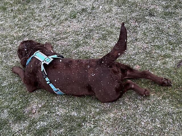 Klicke auf die Grafik für eine vergrößerte Ansicht  Name: IMG_0872.jpg Ansichten: 0 Größe: 322,3 KB ID: 1202093