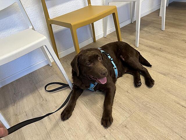 Klicke auf die Grafik für eine vergrößerte Ansicht  Name: IMG_0784.jpg Ansichten: 0 Größe: 149,9 KB ID: 1202097