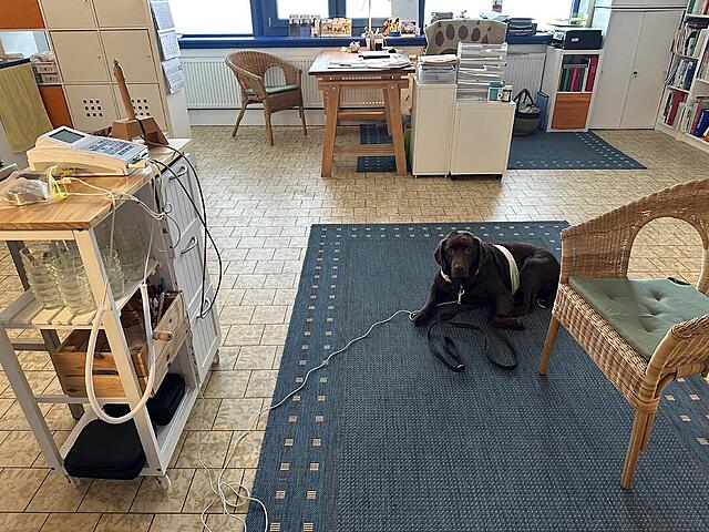 Klicke auf die Grafik für eine vergrößerte Ansicht  Name: IMG_1060.jpg Ansichten: 0 Größe: 204,2 KB ID: 1202098