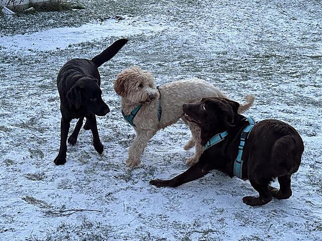 Klicke auf die Grafik für eine vergrößerte Ansicht

Name: IMG_0946.jpg
Ansichten: 412
Größe: 233,0 KB
ID: 1202100