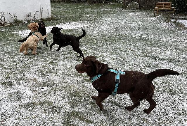 Klicke auf die Grafik für eine vergrößerte Ansicht  Name: IMG_0894.jpg Ansichten: 0 Größe: 259,9 KB ID: 1202095