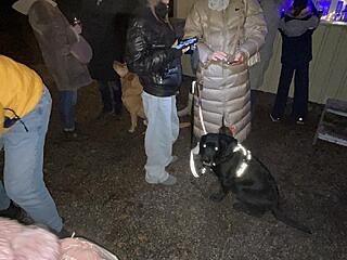 Klicke auf die Grafik für eine vergrößerte Ansicht  Name: IMG_3066.jpg Ansichten: 0 Größe: 101,9 KB ID: 1202203