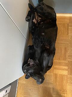 Klicke auf die Grafik für eine vergrößerte Ansicht  Name: IMG_3047.jpg Ansichten: 0 Größe: 88,1 KB ID: 1202204