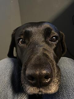 Klicke auf die Grafik für eine vergrößerte Ansicht  Name: IMG_3057.jpg Ansichten: 0 Größe: 94,7 KB ID: 1202206