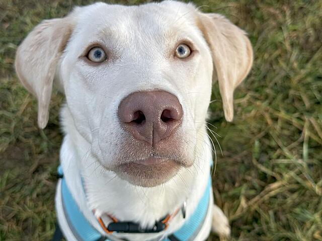 Klicke auf die Grafik für eine vergrößerte Ansicht  Name: IMG_0749.jpg Ansichten: 0 Größe: 93,8 KB ID: 1202253