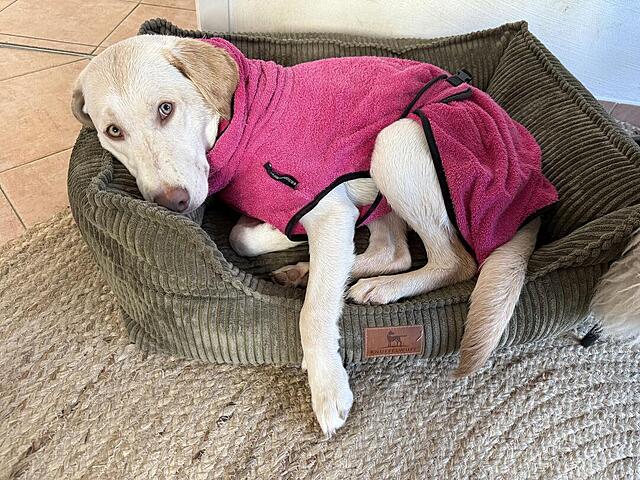 Klicke auf die Grafik für eine vergrößerte Ansicht  Name: IMG_0761.jpg Ansichten: 0 Größe: 211,2 KB ID: 1202256