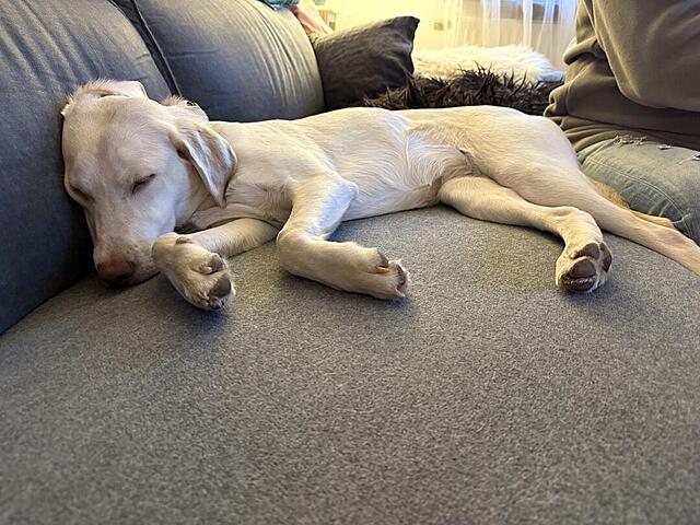 Klicke auf die Grafik für eine vergrößerte Ansicht  Name: IMG_0622.jpg Ansichten: 0 Größe: 129,5 KB ID: 1202257