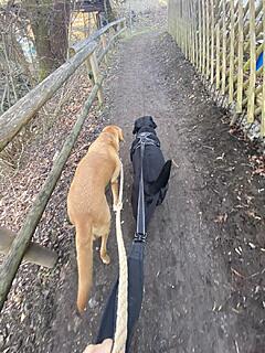 Klicke auf die Grafik für eine vergrößerte Ansicht  Name: IMG_3081.jpg Ansichten: 0 Größe: 158,8 KB ID: 1202413