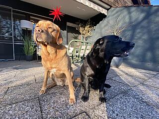 Klicke auf die Grafik für eine vergrößerte Ansicht  Name: IMG_3089.jpg Ansichten: 0 Größe: 198,9 KB ID: 1202415