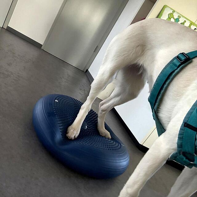 Klicke auf die Grafik für eine vergrößerte Ansicht  Name: IMG_E0794.jpg Ansichten: 0 Größe: 85,7 KB ID: 1202542