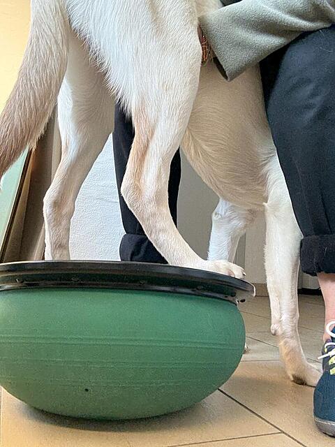 Klicke auf die Grafik für eine vergrößerte Ansicht  Name: IMG_1178.jpg Ansichten: 0 Größe: 119,8 KB ID: 1202545