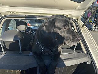 Klicke auf die Grafik für eine vergrößerte Ansicht  Name: IMG_3094.jpg Ansichten: 0 Größe: 105,5 KB ID: 1202639