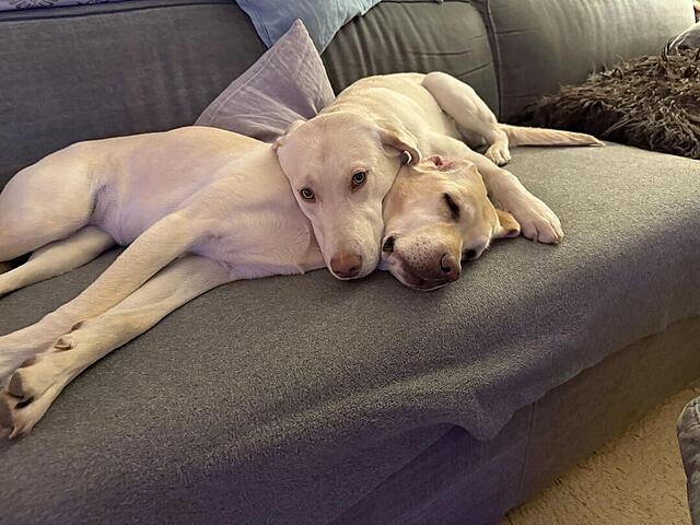 Klicke auf die Grafik für eine vergrößerte Ansicht  Name: IMG_1315.jpg Ansichten: 0 Größe: 106,3 KB ID: 1202897