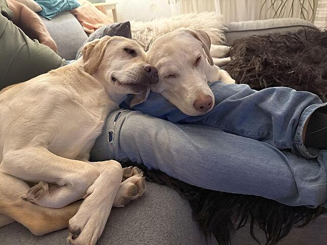 Klicke auf die Grafik für eine vergrößerte Ansicht  Name: IMG_1329.jpg Ansichten: 0 Größe: 109,9 KB ID: 1202900