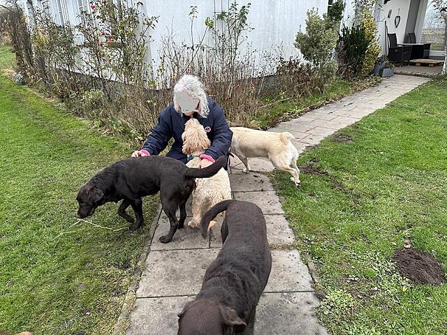 Klicke auf die Grafik für eine vergrößerte Ansicht  Name: Kopie 9859.jpg Ansichten: 0 Größe: 271,0 KB ID: 1202922