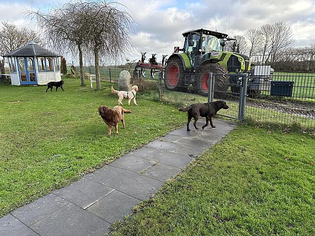 Klicke auf die Grafik für eine vergrößerte Ansicht  Name: IMG_9562.jpg Ansichten: 0 Größe: 255,4 KB ID: 1202927