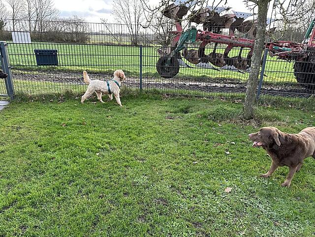 Klicke auf die Grafik für eine vergrößerte Ansicht  Name: IMG_9563.jpg Ansichten: 0 Größe: 311,3 KB ID: 1202928