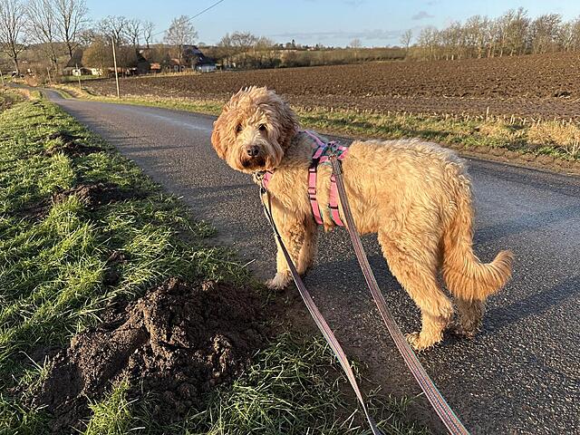 Klicke auf die Grafik für eine vergrößerte Ansicht  Name: IMG_1408.jpg Ansichten: 0 Größe: 248,0 KB ID: 1202933