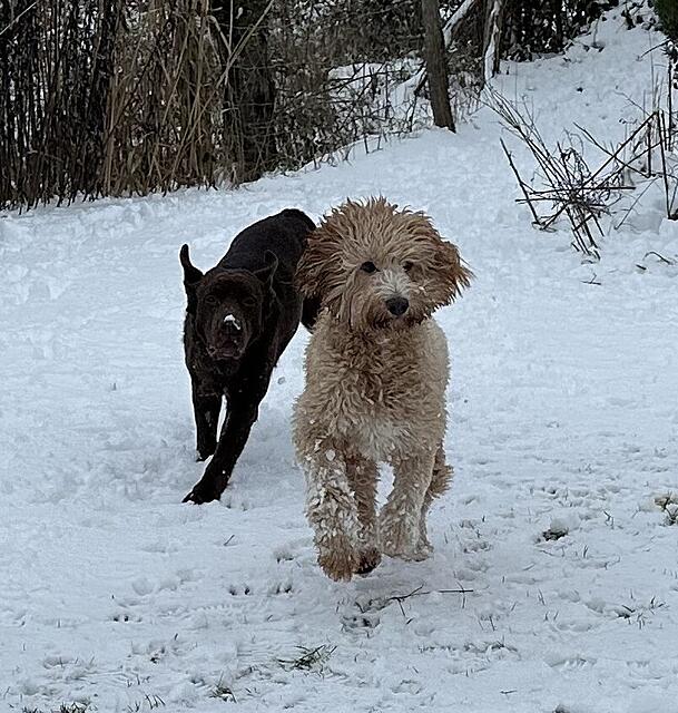 Klicke auf die Grafik für eine vergrößerte Ansicht  Name: IMG_1906.jpg Ansichten: 0 Größe: 207,1 KB ID: 1203095