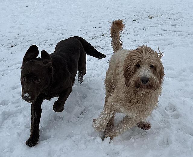 Klicke auf die Grafik für eine vergrößerte Ansicht  Name: IMG_1908.jpg Ansichten: 0 Größe: 111,2 KB ID: 1203097