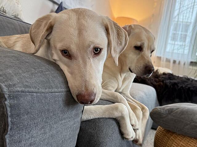 Klicke auf die Grafik für eine vergrößerte Ansicht  Name: IMG_E1083.jpg Ansichten: 0 Größe: 105,0 KB ID: 1203166