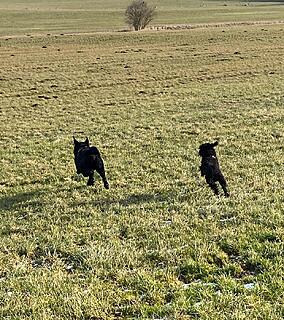 Klicke auf die Grafik für eine vergrößerte Ansicht  Name: IMG_3132.jpg Ansichten: 0 Größe: 327,9 KB ID: 1203200