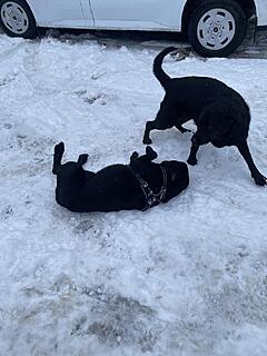 Klicke auf die Grafik für eine vergrößerte Ansicht  Name: IMG_3148.jpg Ansichten: 0 Größe: 99,4 KB ID: 1203203