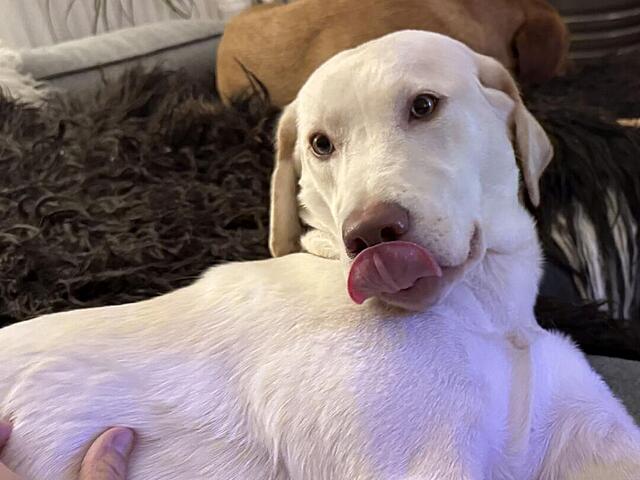 Klicke auf die Grafik für eine vergrößerte Ansicht  Name: IMG_E0837.jpg Ansichten: 0 Größe: 79,3 KB ID: 1203385