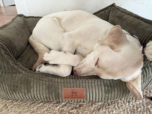 Klicke auf die Grafik für eine vergrößerte Ansicht  Name: IMG_1490.jpg Ansichten: 0 Größe: 165,7 KB ID: 1203388