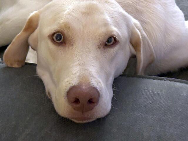 Klicke auf die Grafik für eine vergrößerte Ansicht  Name: IMG_1397.jpg Ansichten: 22 Größe: 61,1 KB ID: 1203680