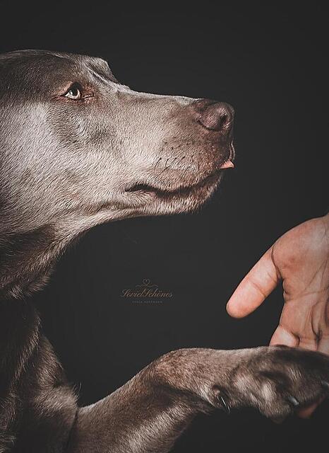 Klicke auf die Grafik für eine vergrößerte Ansicht  Name: Shadow1 #1708.jpg Ansichten: 0 Größe: 111,5 KB ID: 1203702