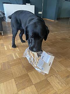 Klicke auf die Grafik für eine vergrößerte Ansicht  Name: IMG_3167.jpg Ansichten: 81 Größe: 109,7 KB ID: 1203811