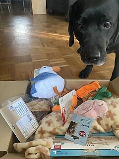 Klicke auf die Grafik für eine vergrößerte Ansicht  Name: IMG_3170.jpg Ansichten: 81 Größe: 91,0 KB ID: 1203812