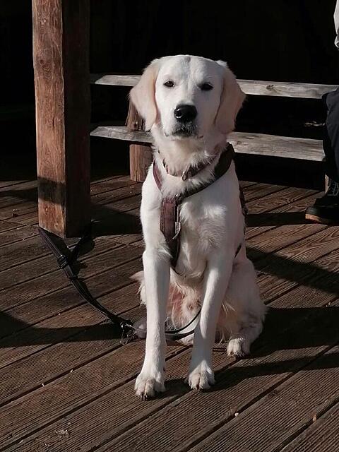 Klicke auf die Grafik für eine vergrößerte Ansicht

Name: PHOTO-2026-02-05-20-19-57.jpg
Ansichten: 90
Größe: 110,5 KB
ID: 1203819