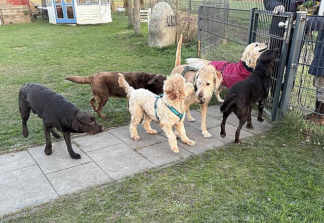 Klicke auf die Grafik für eine vergrößerte Ansicht  Name: IMG_0564.jpg Ansichten: 49 Größe: 235,4 KB ID: 1203863