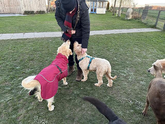 Klicke auf die Grafik für eine vergrößerte Ansicht  Name: IMG_0568.jpg Ansichten: 49 Größe: 247,8 KB ID: 1203864