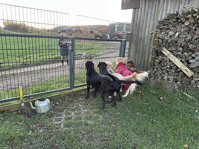 Klicke auf die Grafik für eine vergrößerte Ansicht  Name: IMG_0549.jpg Ansichten: 49 Größe: 268,1 KB ID: 1203865