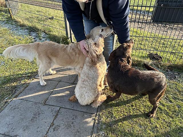 Klicke auf die Grafik für eine vergrößerte Ansicht  Name: IMG_1743.jpg Ansichten: 49 Größe: 252,2 KB ID: 1203868