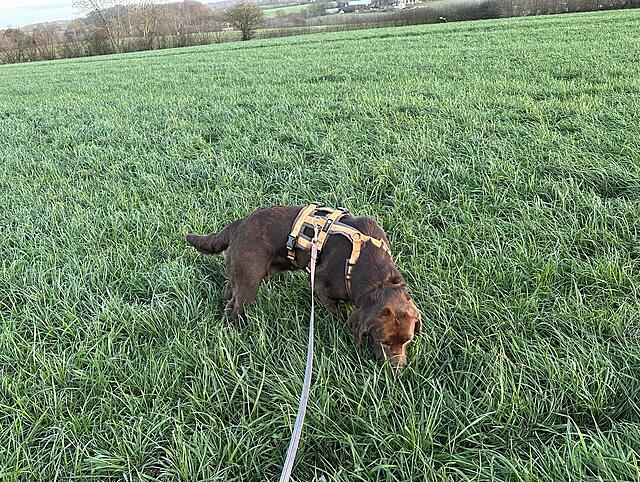 Klicke auf die Grafik für eine vergrößerte Ansicht

Name: IMG_1419.jpg
Ansichten: 300
Größe: 341,7 KB
ID: 1203896