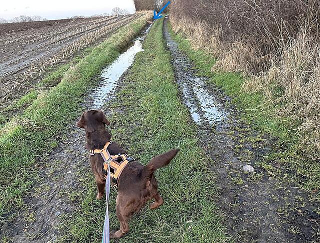 Klicke auf die Grafik für eine vergrößerte Ansicht

Name: IMG_1422.jpg
Ansichten: 292
Größe: 326,2 KB
ID: 1203897