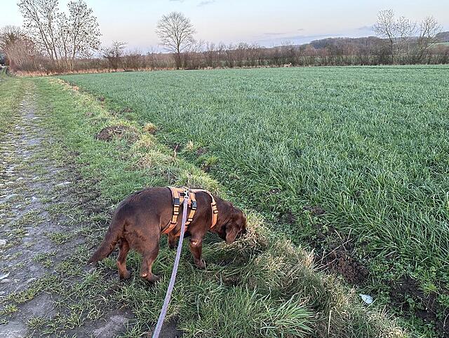 Klicke auf die Grafik für eine vergrößerte Ansicht

Name: IMG_1421.jpg
Ansichten: 297
Größe: 288,7 KB
ID: 1203900