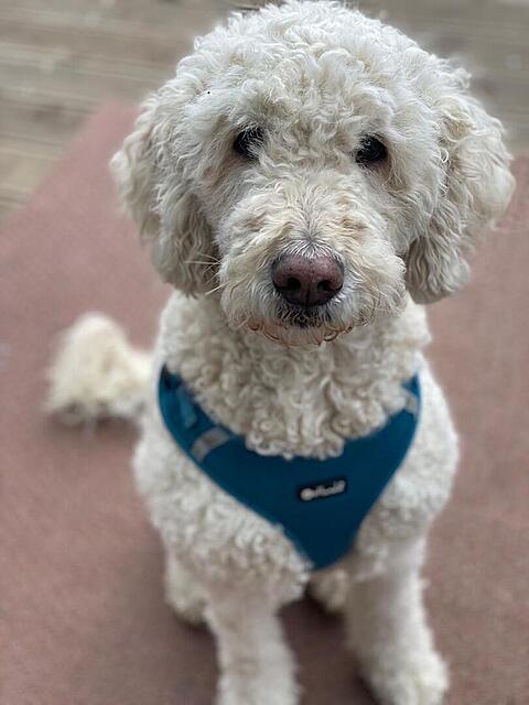 Klicke auf die Grafik für eine vergrößerte Ansicht

Name: 483d4219-3a42-4acc-bfe7-83e5d866da12.jpg
Ansichten: 22
Größe: 69,3 KB
ID: 1203910