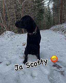 Klicke auf die Grafik für eine vergrößerte Ansicht  Name: YAJQ6310.jpg Ansichten: 10 Größe: 159,2 KB ID: 1203972