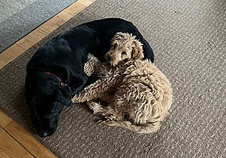 Klicke auf die Grafik für eine vergrößerte Ansicht  Name: image.png Ansichten: 10 Größe: 1,39 MB ID: 1203973