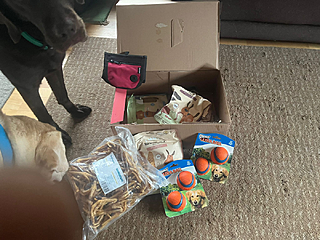 Klicke auf die Grafik für eine vergrößerte Ansicht  Name: image.png Ansichten: 10 Größe: 1,39 MB ID: 1203974