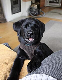 Klicke auf die Grafik für eine vergrößerte Ansicht  Name: IMG_3138.jpg Ansichten: 10 Größe: 97,1 KB ID: 1203971