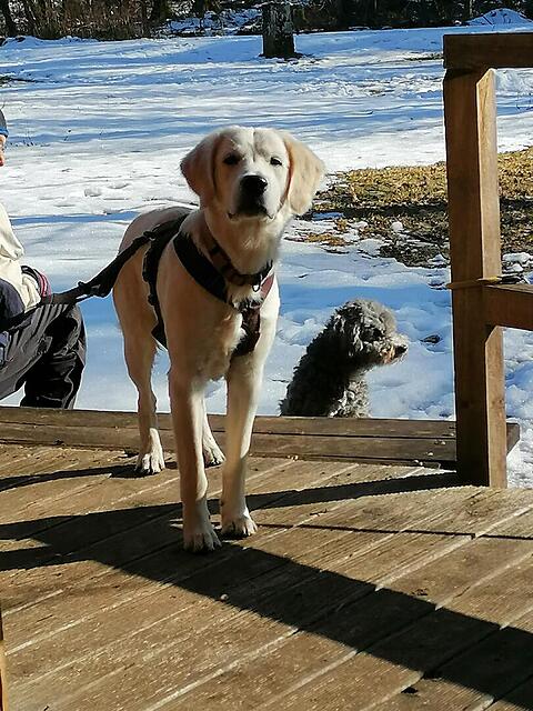 Klicke auf die Grafik für eine vergrößerte Ansicht  Name: IMG_20260205_134453.jpg Ansichten: 46 Größe: 155,2 KB ID: 1204053