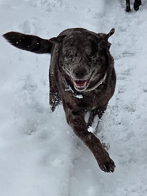 Klicke auf die Grafik für eine vergrößerte Ansicht

Name: image.png
Ansichten: 0
Größe: 314,7 KB
ID: 1204067